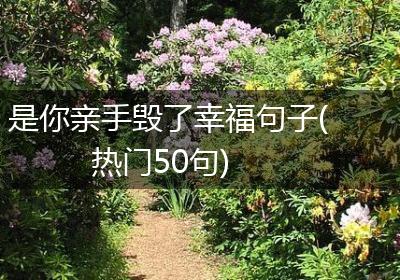 是你亲手毁了幸福句子(热门50句)