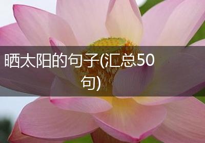 晒太阳的句子(汇总50句)