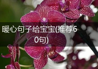 暖心句子给宝宝(推荐60句)