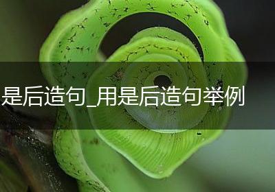 是后造句_用是后造句举例