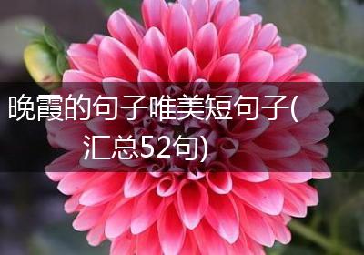 晚霞的句子唯美短句子(汇总52句)
