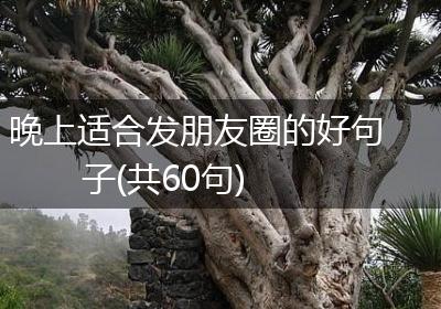 晚上适合发朋友圈的好句子(共60句)