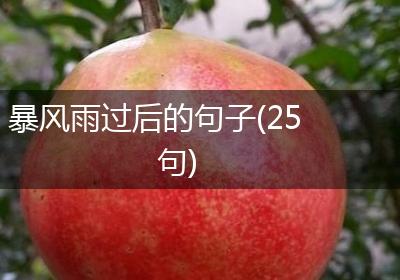 暴风雨过后的句子(25句)