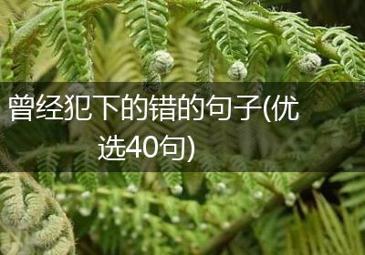 曾经犯下的错的句子(优选40句)