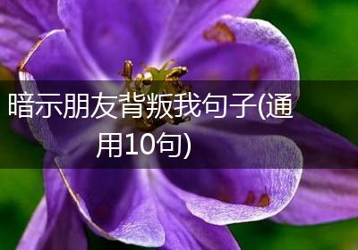 暗示朋友背叛我句子(通用10句)