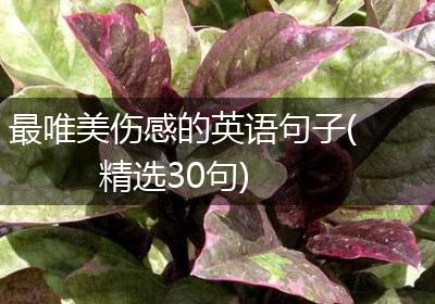 最唯美伤感的英语句子(精选30句)