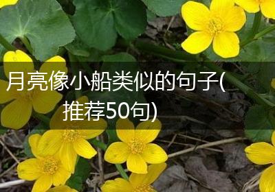 月亮像小船类似的句子(推荐50句)