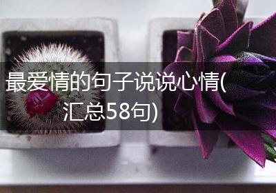 最爱情的句子说说心情(汇总58句)