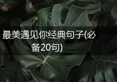 最美遇见你经典句子(必备20句)