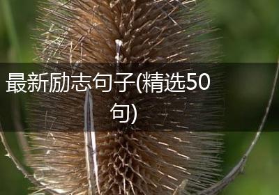 最新励志句子(精选50句)