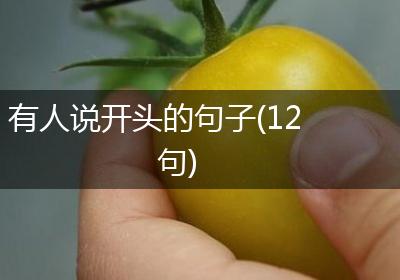 有人说开头的句子(12句)