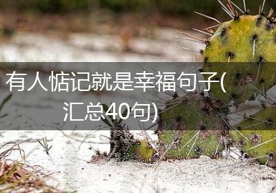 有人惦记就是幸福句子(汇总40句)