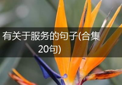 有关于服务的句子(合集20句)