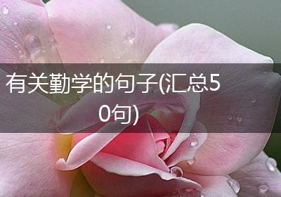 有关勤学的句子(汇总50句)