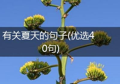 有关夏天的句子(优选40句)