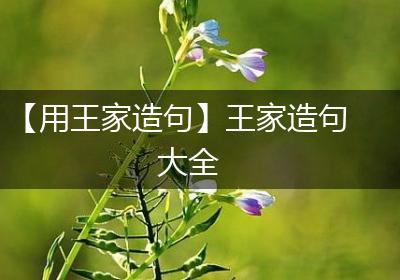 【用王家造句】王家造句大全