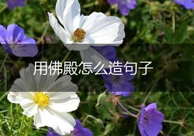 用佛殿怎么造句子