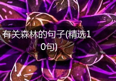 有关森林的句子(精选10句)