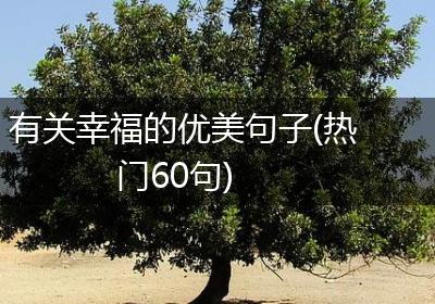 有关幸福的优美句子(热门60句)