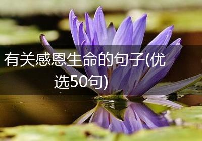 有关感恩生命的句子(优选50句)