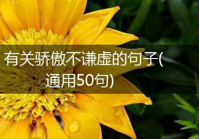 有关骄傲不谦虚的句子(通用50句)