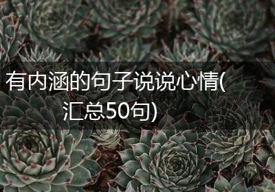 有内涵的句子说说心情(汇总50句)