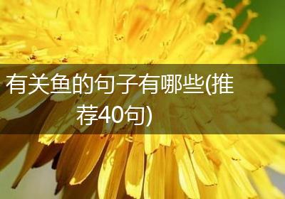 有关鱼的句子有哪些(推荐40句)