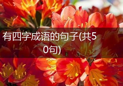 有四字成语的句子(共50句)