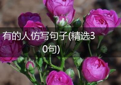 有的人仿写句子(精选30句)