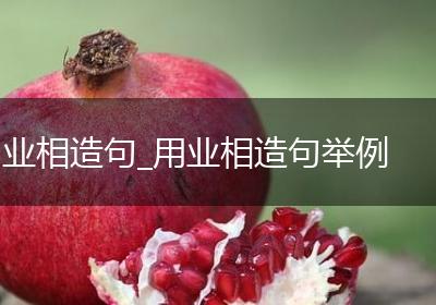 业相造句_用业相造句举例