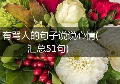 有骂人的句子说说心情(汇总51句)