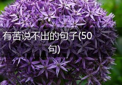 有苦说不出的句子(50句)
