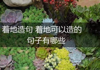 着地造句 着地可以造的句子有哪些