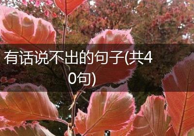 有话说不出的句子(共40句)