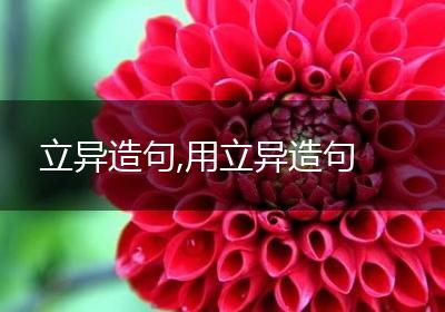 立异造句,用立异造句