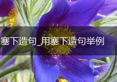 塞下造句_用塞下造句举例
