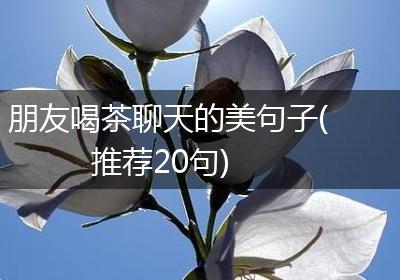 朋友喝茶聊天的美句子(推荐20句)