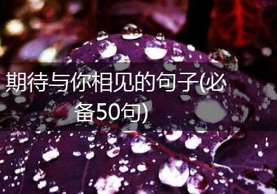 期待与你相见的句子(必备50句)
