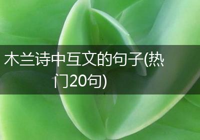 木兰诗中互文的句子(热门20句)