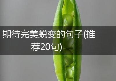 期待完美蜕变的句子(推荐20句)