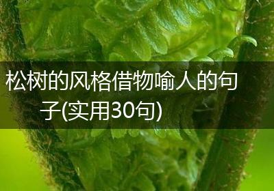 松树的风格借物喻人的句子(实用30句)