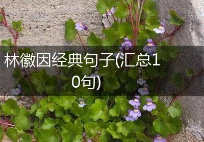 林徽因经典句子(汇总10句)