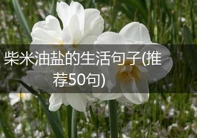 柴米油盐的生活句子(推荐50句)