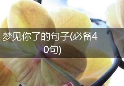 梦见你了的句子(必备40句)