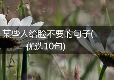 某些人给脸不要的句子(优选10句)