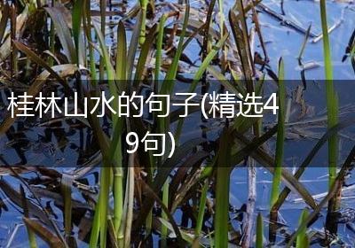 桂林山水的句子(精选49句)
