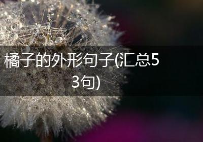 橘子的外形句子(汇总53句)