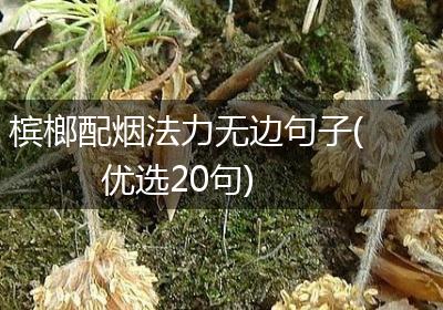 槟榔配烟法力无边句子(优选20句)