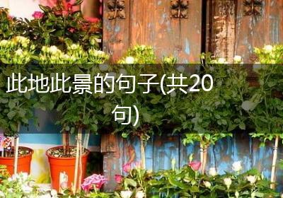 此地此景的句子(共20句)