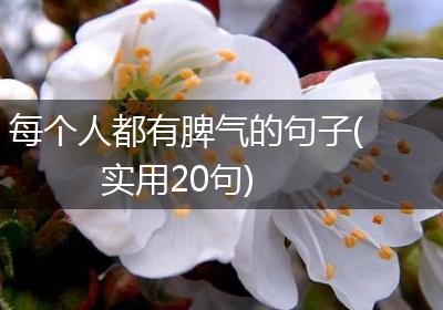 每个人都有脾气的句子(实用20句)
